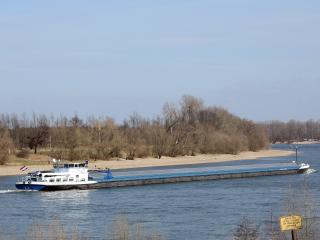 Peter Tinnemans Esmalijn